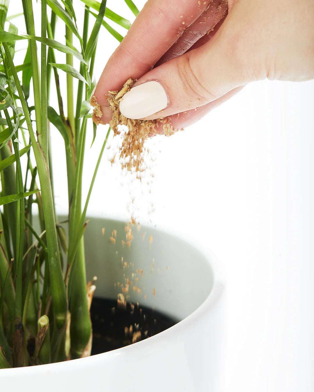 Bios Natural Plant Fertilizer